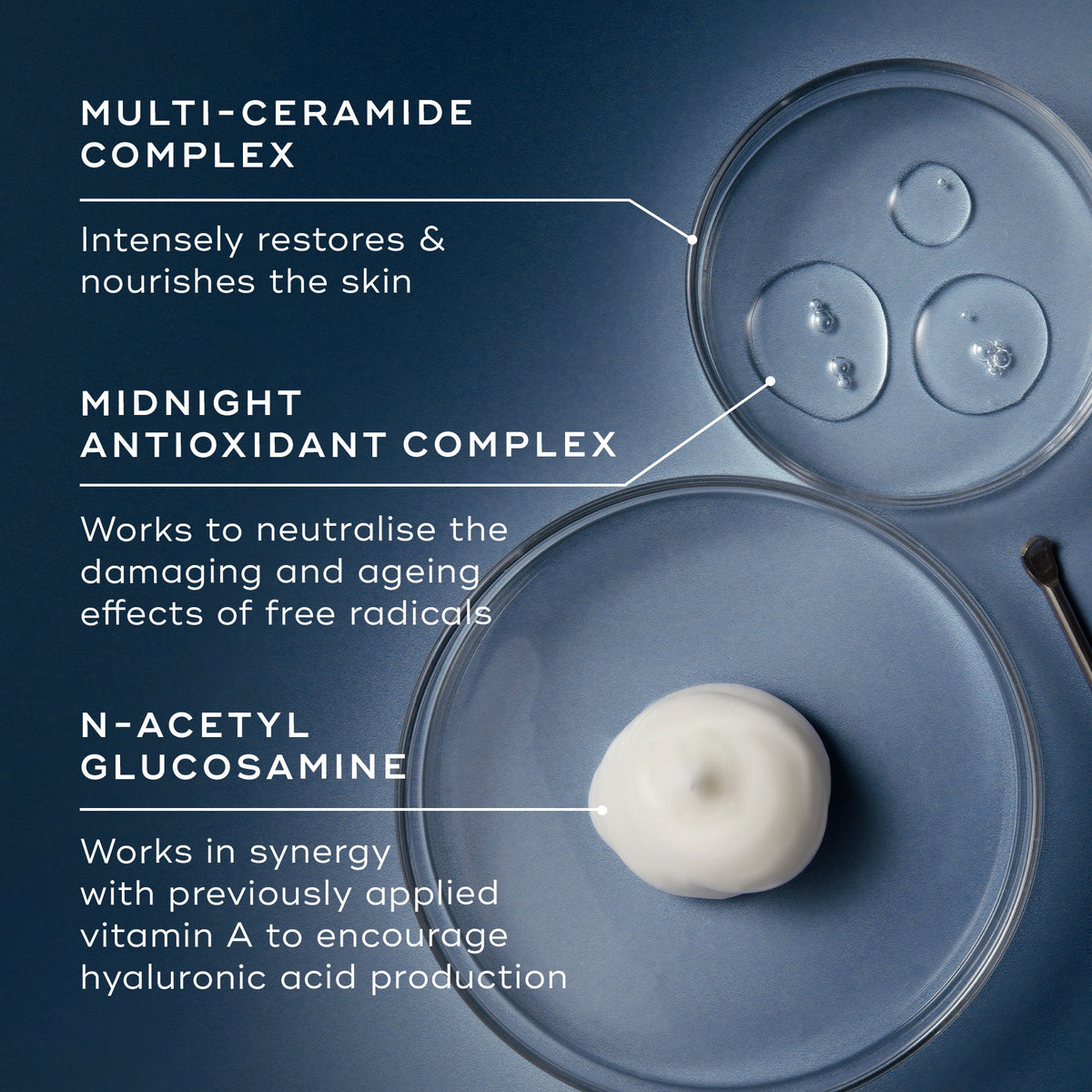 An ingredient breakdown on a blue background featuring three petri dishes containing clear liquids and a white cream dollop. Lines connect them to text explaining the  Multi-Ceramide Complex,   Midnight Antioxidant Complex,  and  N-Acetyl Glucosamine. 